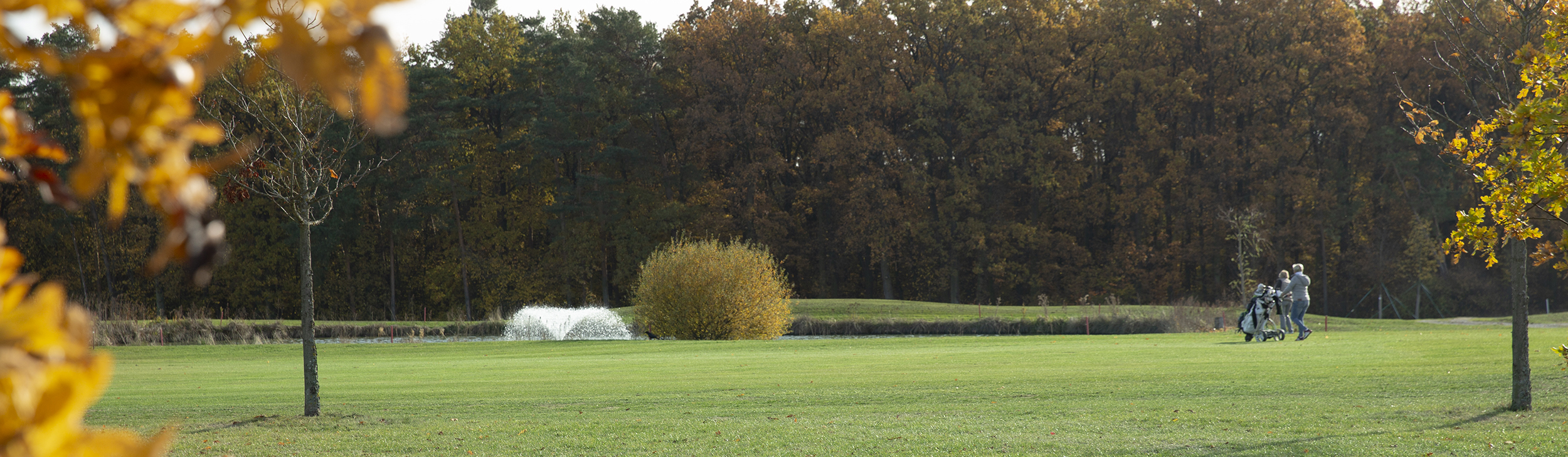 Golf-Club Herzogenaurach | Senioren 50 Plus
