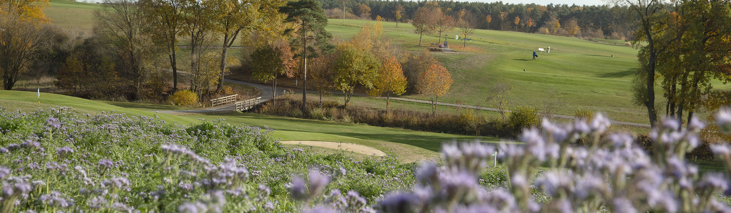 Golf&Natur Herzogenaurach